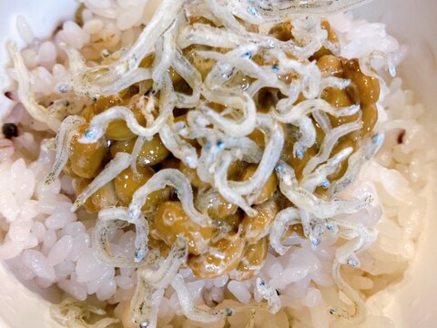 ちりめんじゃこのせ!ごま油香る納豆雑穀ごはん♡